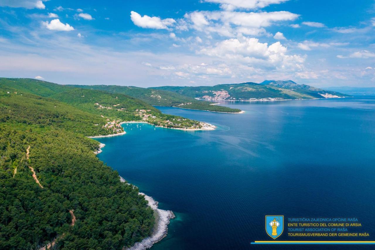 Villa Amber Yourcroatiaholiday Drenje  Eksteriør bilde