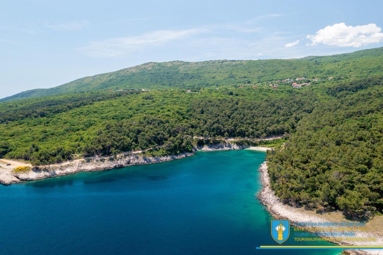Villa Amber Yourcroatiaholiday Drenje  Eksteriør bilde